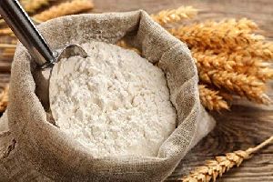 fresh-wheat-flour_looking for distributors